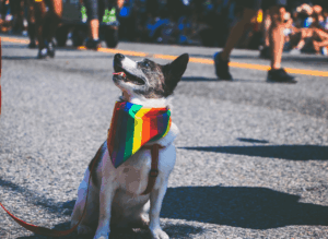 Flure Blog — Stories, Dating & Explorationship Articles 10 Liberating Ways to Coming Out as Gay or Bisexual